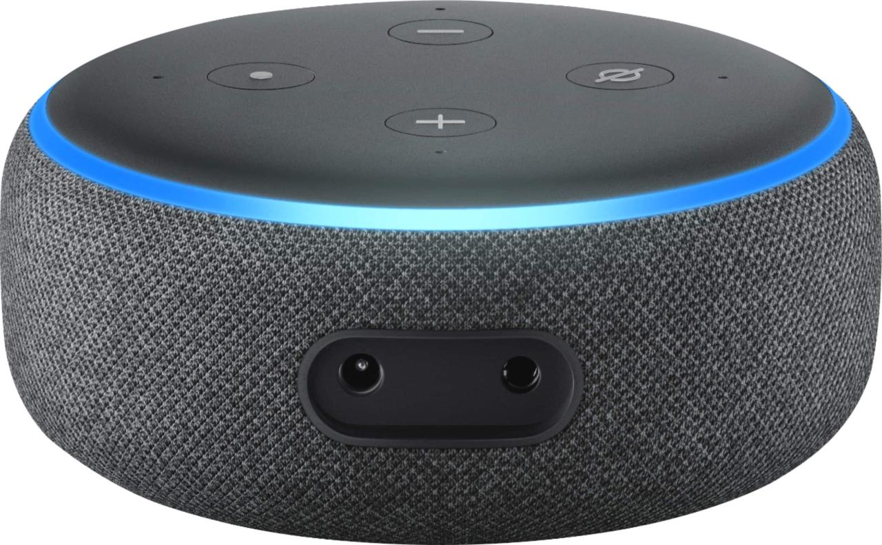 Google home alexa